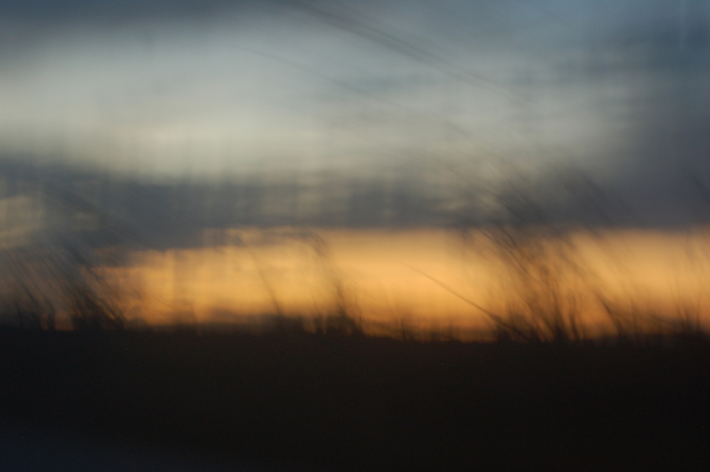 blurred grasses with light from a light yellow sunset on the horizon under clouds 