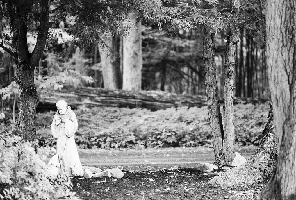 a small statue of St. Francis of Assisi in the woods a Lily Dale, NY