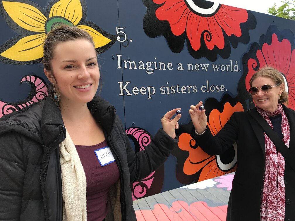 The Blue Marbles Project: Cassie Hoeprich & Megan Wilson (2017)