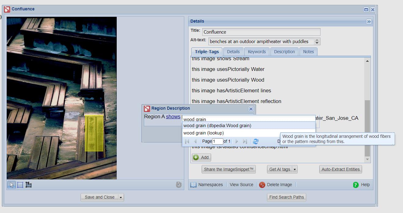 a screenshot showing the image annotation function in ImageSnippets